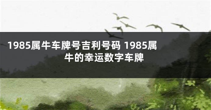 1985属牛车牌号吉利号码 1985属牛的幸运数字车牌