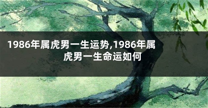 1986年属虎男一生运势,1986年属虎男一生命运如何
