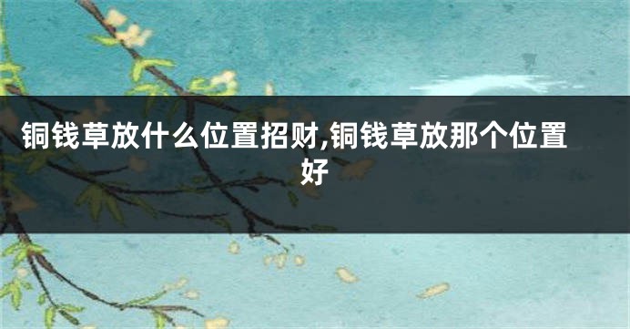 铜钱草放什么位置招财,铜钱草放那个位置好