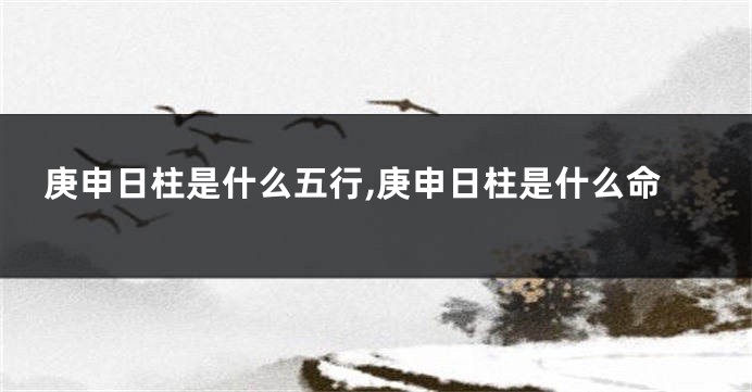 庚申日柱是什么五行,庚申日柱是什么命