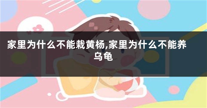 家里为什么不能栽黄杨,家里为什么不能养乌龟