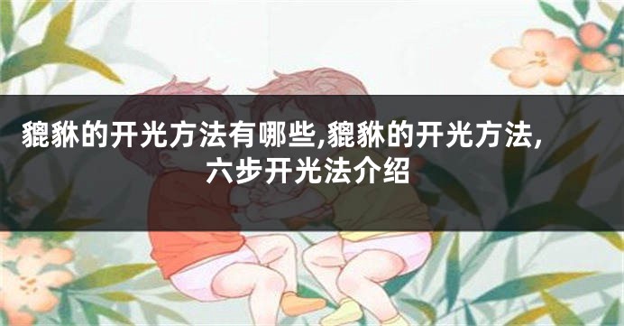 貔貅的开光方法有哪些,貔貅的开光方法,六步开光法介绍