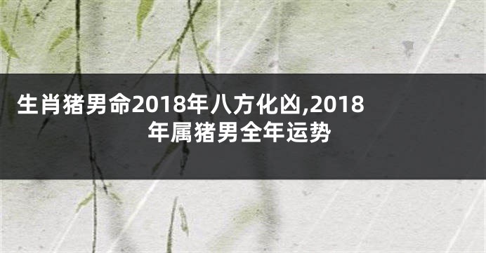 生肖猪男命2018年八方化凶,2018年属猪男全年运势