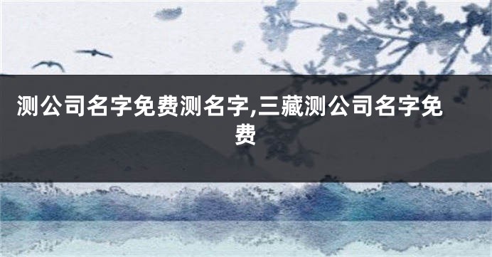 测公司名字免费测名字,三藏测公司名字免费