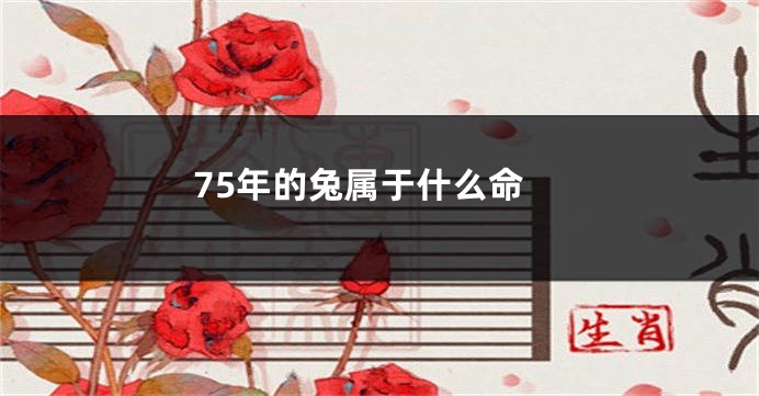 75年的兔属于什么命