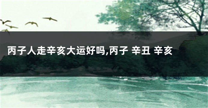 丙子人走辛亥大运好吗,丙子 辛丑 辛亥