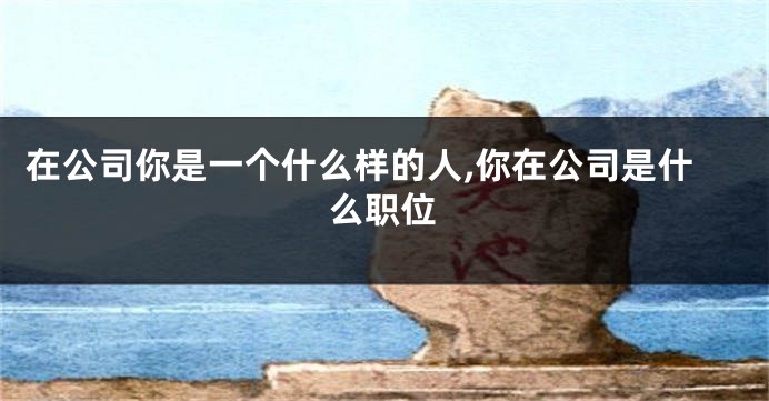在公司你是一个什么样的人,你在公司是什么职位