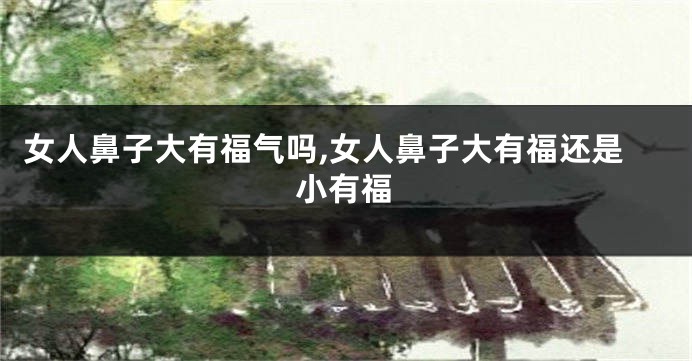 女人鼻子大有福气吗,女人鼻子大有福还是小有福