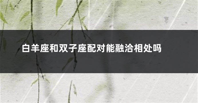 白羊座和双子座配对能融洽相处吗 