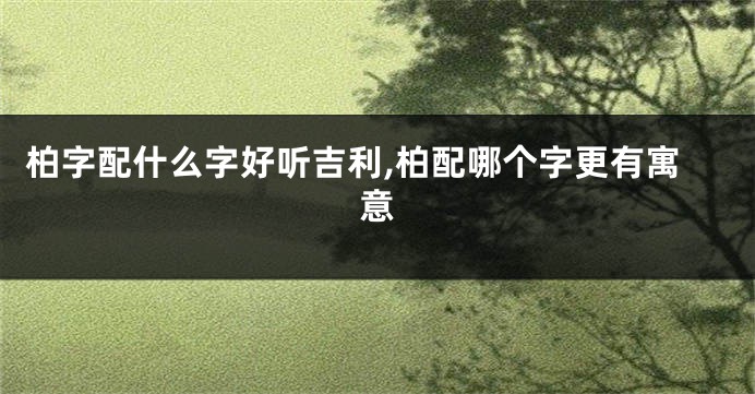 柏字配什么字好听吉利,柏配哪个字更有寓意