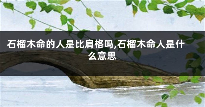 石榴木命的人是比肩格吗,石榴木命人是什么意思