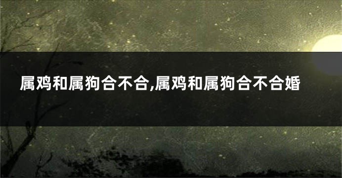 属鸡和属狗合不合,属鸡和属狗合不合婚