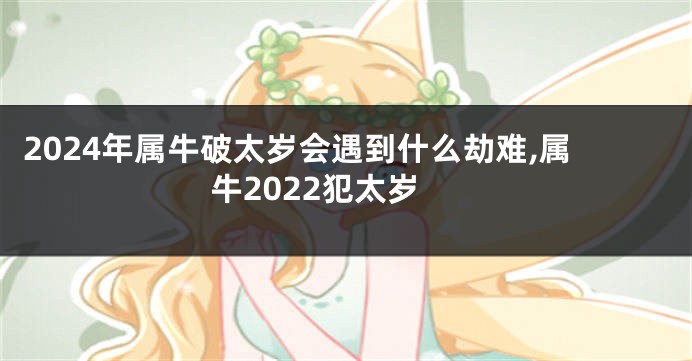 2024年属牛破太岁会遇到什么劫难,属牛2022犯太岁