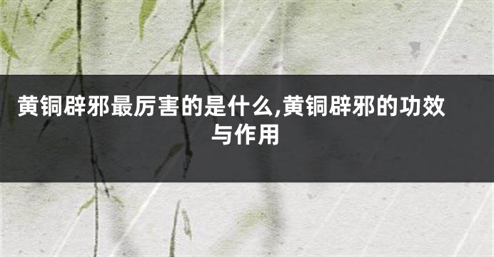 黄铜辟邪最厉害的是什么,黄铜辟邪的功效与作用