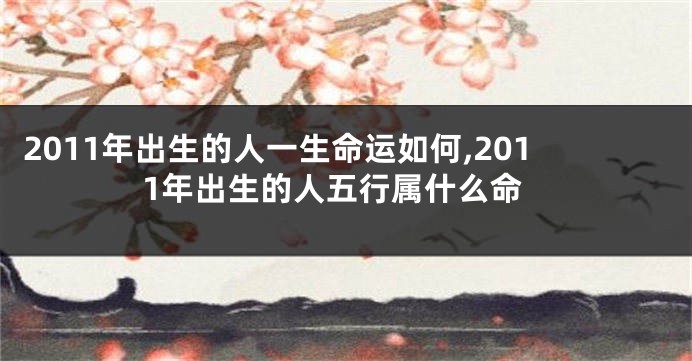 2011年出生的人一生命运如何,2011年出生的人五行属什么命