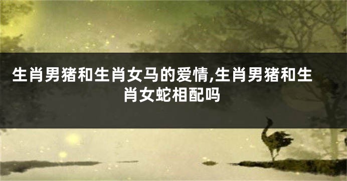生肖男猪和生肖女马的爱情,生肖男猪和生肖女蛇相配吗