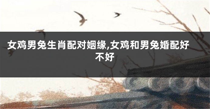 女鸡男兔生肖配对姻缘,女鸡和男兔婚配好不好