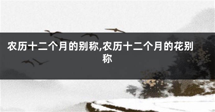 农历十二个月的别称,农历十二个月的花别称