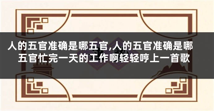 人的五官准确是哪五官,人的五官准确是哪五官忙完一天的工作啊轻轻哼上一首歌