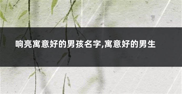 响亮寓意好的男孩名字,寓意好的男生