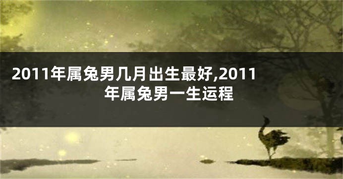 2011年属兔男几月出生最好,2011年属兔男一生运程