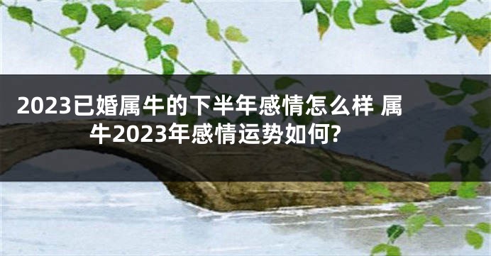 2023已婚属牛的下半年感情怎么样 属牛2023年感情运势如何?