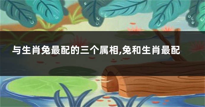与生肖兔最配的三个属相,兔和生肖最配