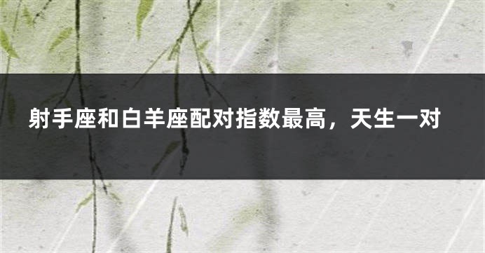 射手座和白羊座配对指数最高，天生一对