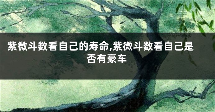 紫微斗数看自己的寿命,紫微斗数看自己是否有豪车