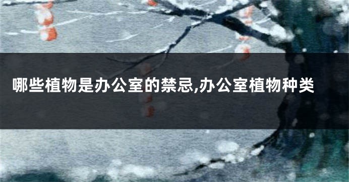哪些植物是办公室的禁忌,办公室植物种类