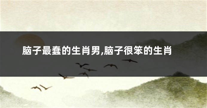 脑子最蠢的生肖男,脑子很笨的生肖