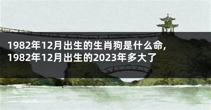 1982年12月出生的生肖狗是什么命,1982年12月出生的2023年多大了