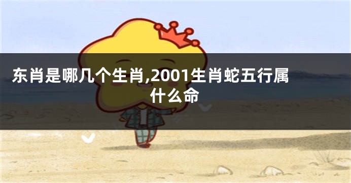 东肖是哪几个生肖,2001生肖蛇五行属什么命