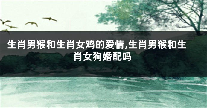 生肖男猴和生肖女鸡的爱情,生肖男猴和生肖女狗婚配吗