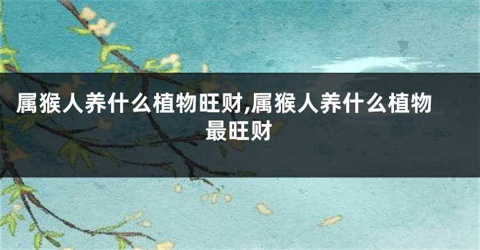 属猴人养什么植物旺财,属猴人养什么植物最旺财