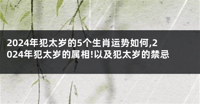 2024年犯太岁的5个生肖运势如何,2024年犯太岁的属相!以及犯太岁的禁忌