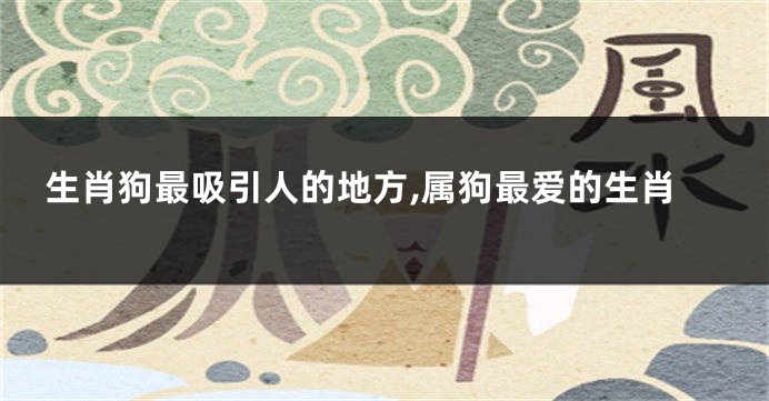 生肖狗最吸引人的地方,属狗最爱的生肖