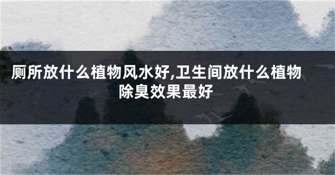 厕所放什么植物风水好,卫生间放什么植物除臭效果最好