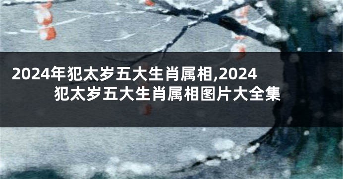 2024年犯太岁五大生肖属相,2024犯太岁五大生肖属相图片大全集