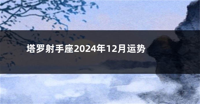 塔罗射手座2024年12月运势