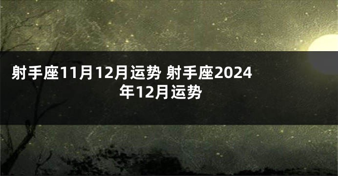 射手座11月12月运势 射手座2024年12月运势