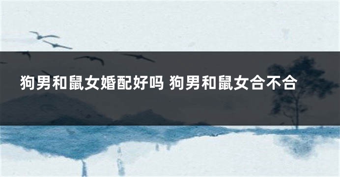 狗男和鼠女婚配好吗 狗男和鼠女合不合