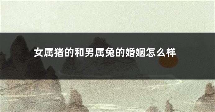 女属猪的和男属兔的婚姻怎么样