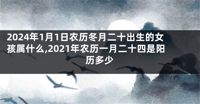 2024年1月1日农历冬月二十出生的女孩属什么,2021年农历一月二十四是阳历多少