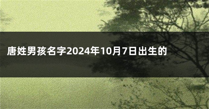 唐姓男孩名字2024年10月7日出生的