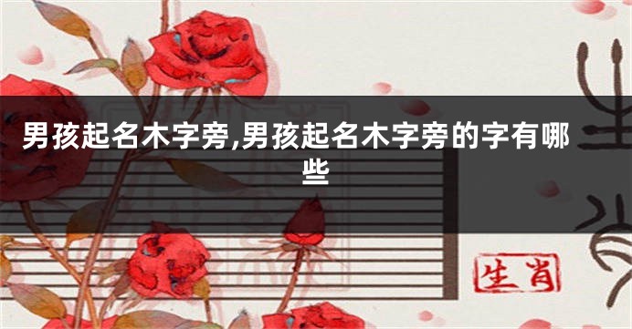 男孩起名木字旁,男孩起名木字旁的字有哪些