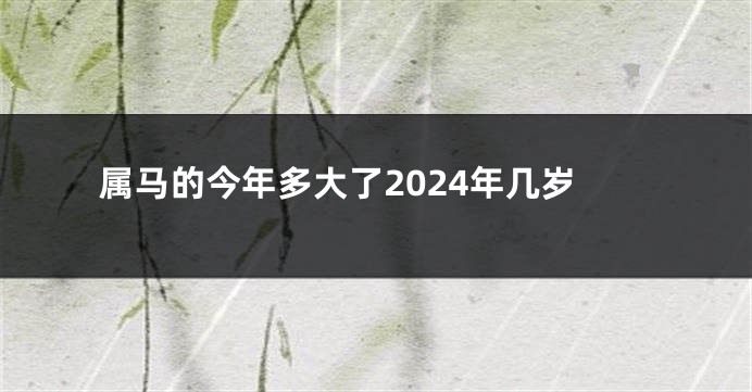 属马的今年多大了2024年几岁