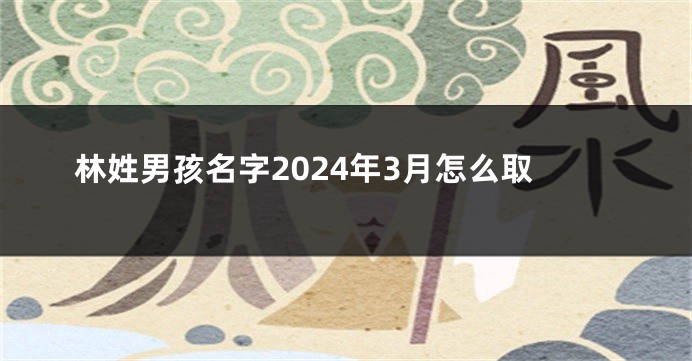 林姓男孩名字2024年3月怎么取