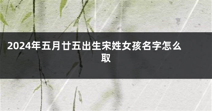 2024年五月廿五出生宋姓女孩名字怎么取
