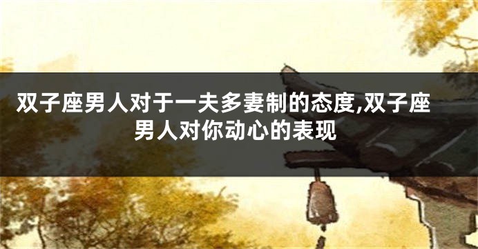 双子座男人对于一夫多妻制的态度,双子座男人对你动心的表现